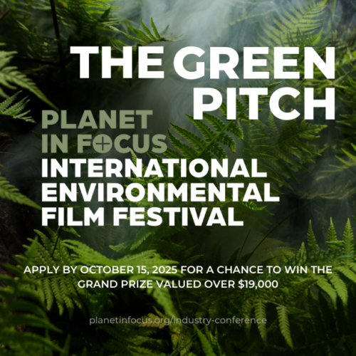 The Green Pitch (1) The Green Pitch (1)