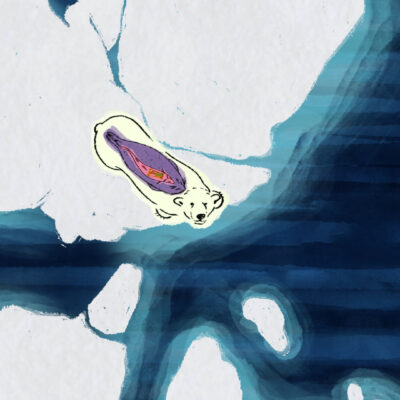 Arctic Shifts Arctic Shifts