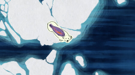 Arctic Shifts Arctic Shifts