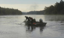 Nechako_still_03