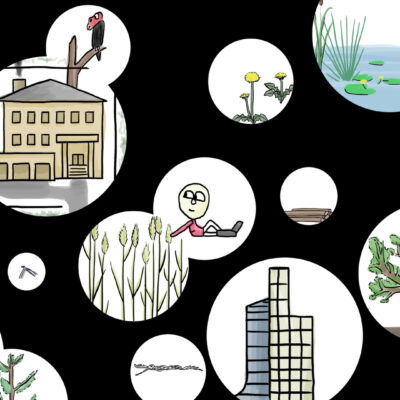 humans build the biggest nests humans build the biggest nests