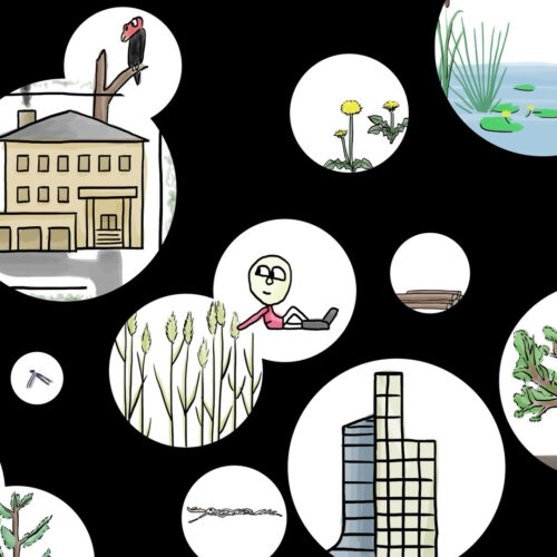 humans build the biggest nests