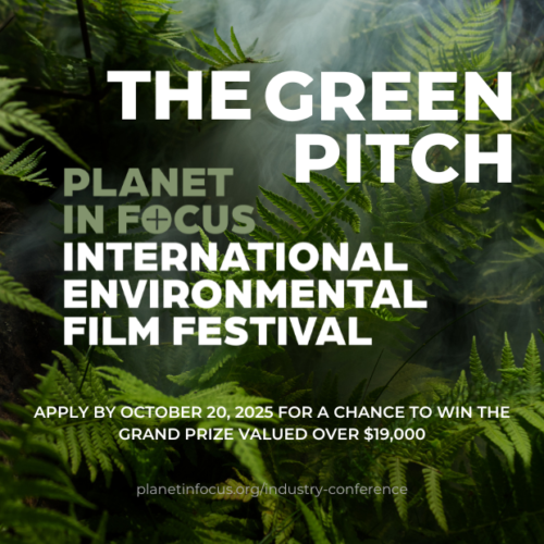 The Green Pitch 2025 The Green Pitch 2025