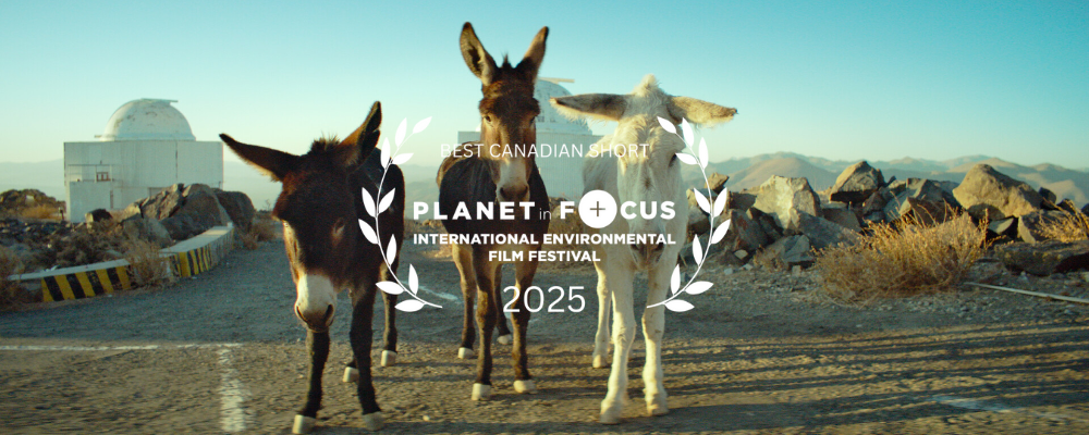 Best Canadian Short (1000 x 400 px) (2)