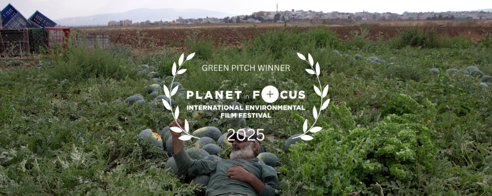 Green Pitch (1000 x 400 px) Green Pitch (1000 x 400 px)