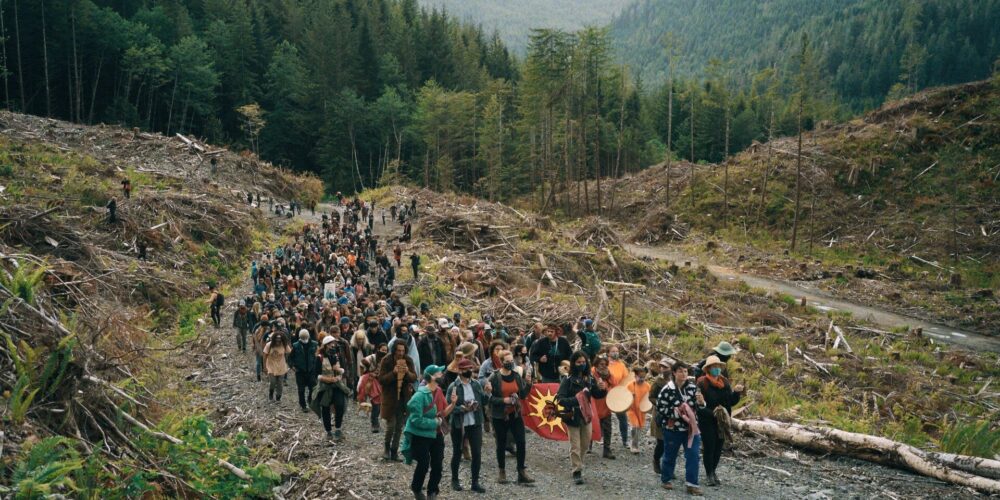 FC_Still_Crowds_and_cutblock