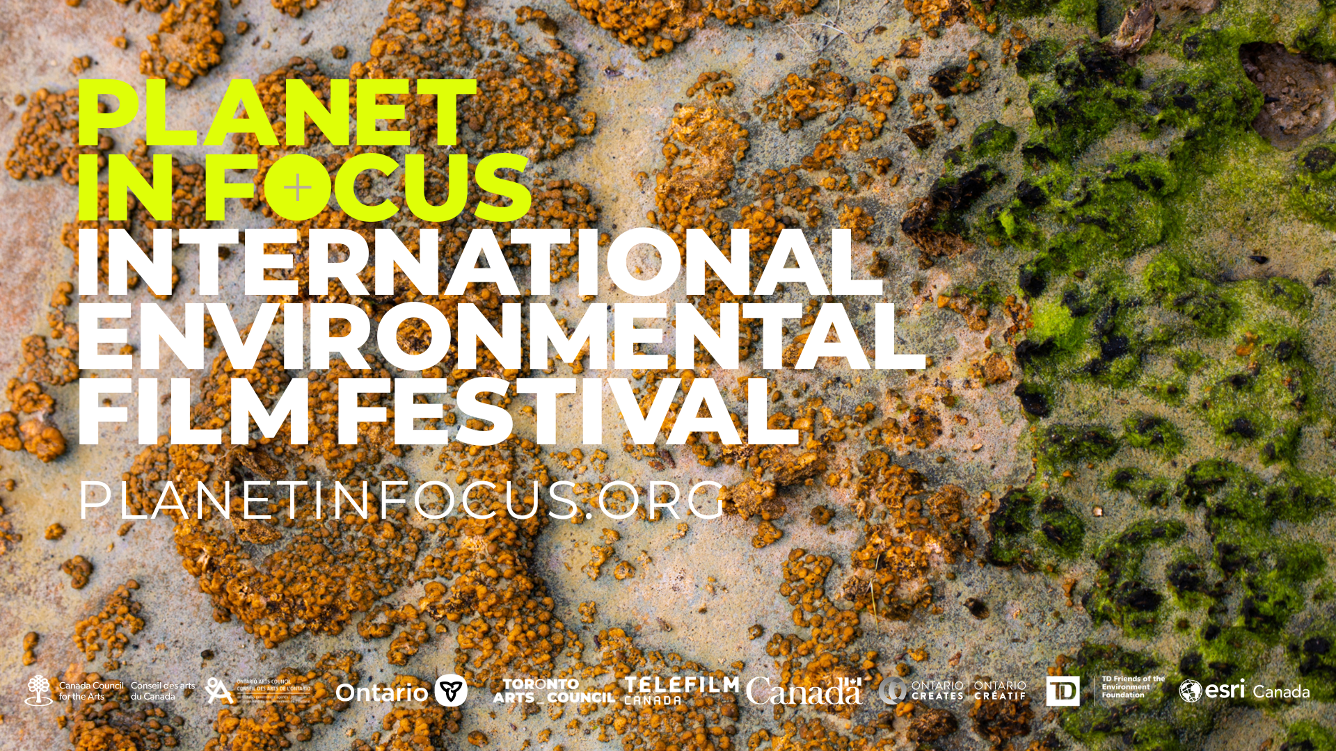 Copy of 2025PIF-1920x1080 Copy of 2025PIF-1920x1080