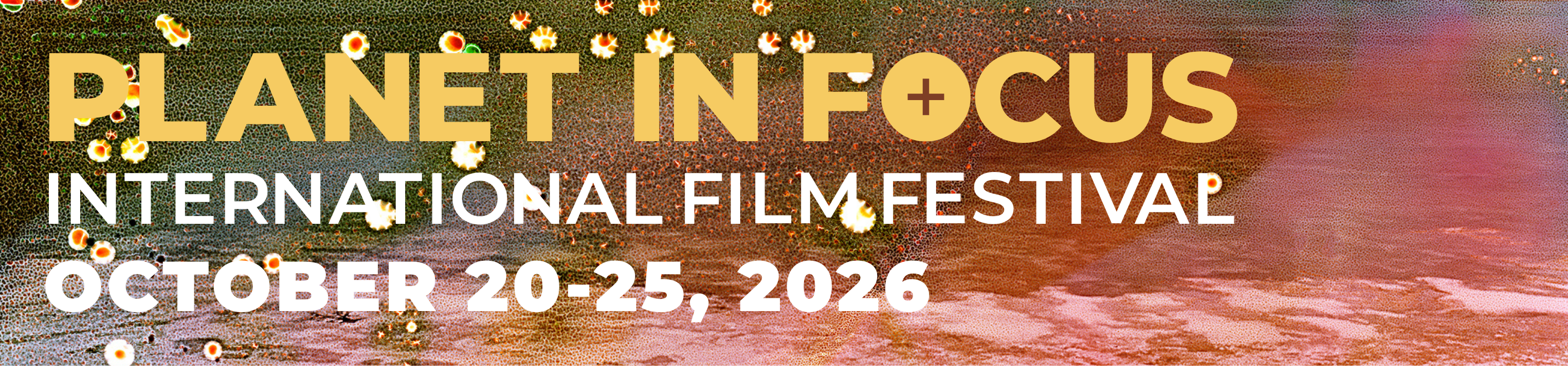 Copy of 2025PIF-Website-976×228 (2)