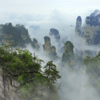 Photo 2 Jungles_screengrab_26 Photo 2 Jungles_screengrab_26