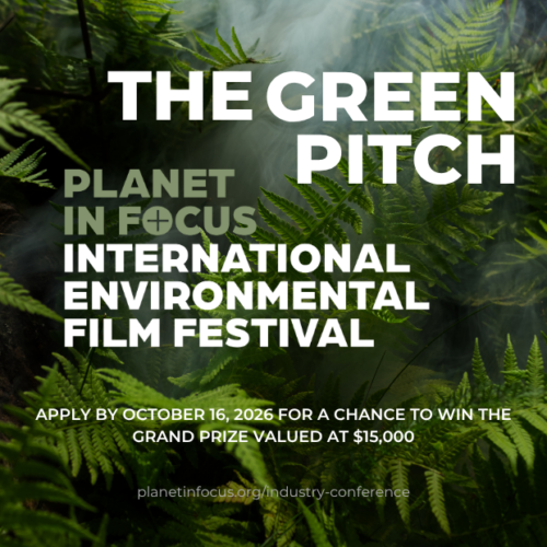 The Green Pitch The Green Pitch